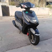 سكنس فحل • بلاديه • أوراق