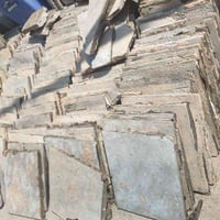 شتايگر • قياس ٥٠ • ٢٠٠+ قطعة