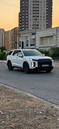 باليسايد SEL • ٢٠٢٣ • رقم اربيل