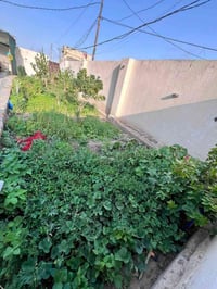 بيت للبيع   في منطقه الصخيين قرب نزله الشريف  مساحه ٤٠٠ متر  صنف البيت...
