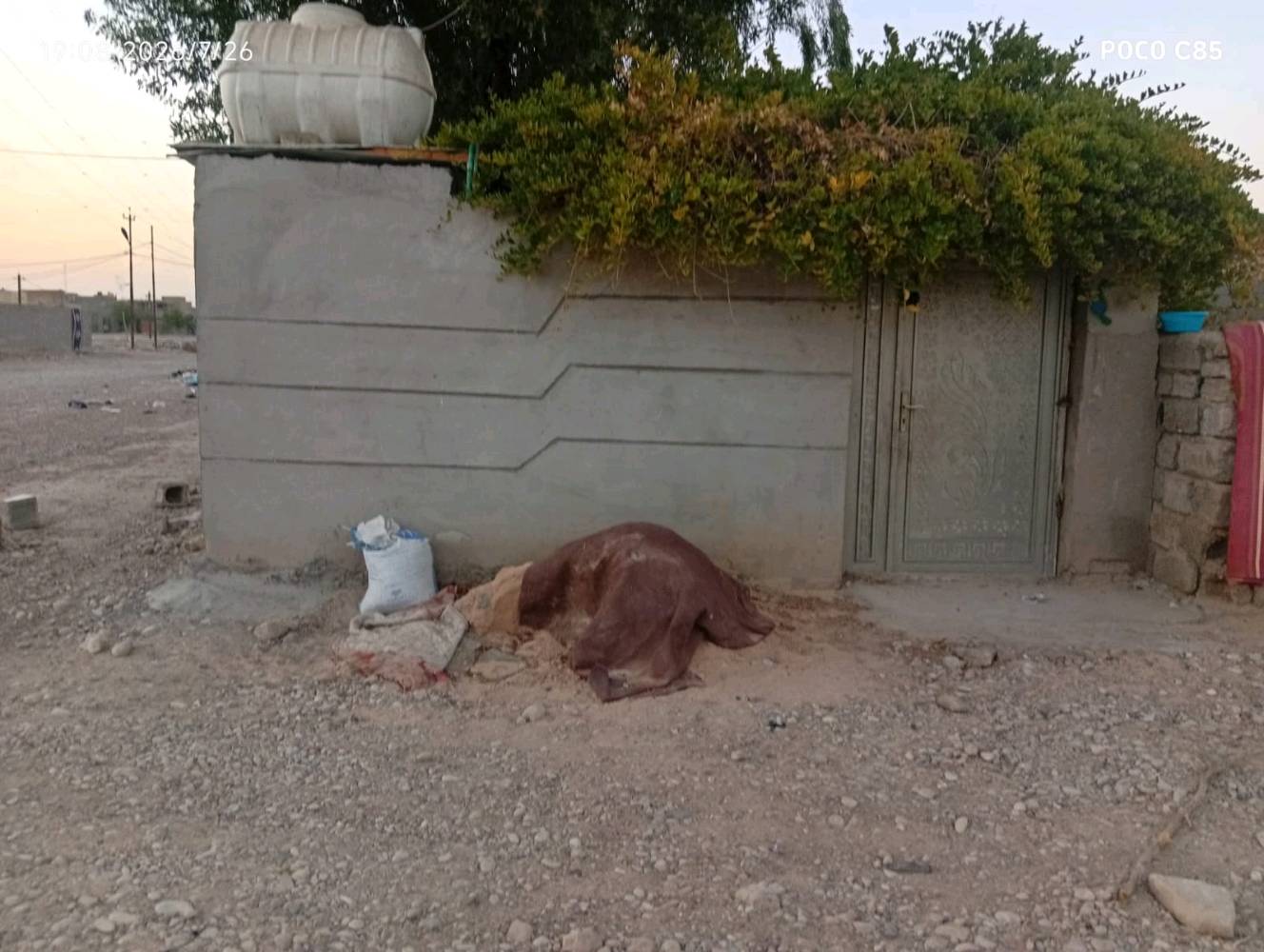 العنوان بغداد حي طارق الشيشان  شارع مدارس قرب مولدت علاوي الجعباوي. وحسينية بيت ابو الهيل   خلف المدارس الكرفانات 