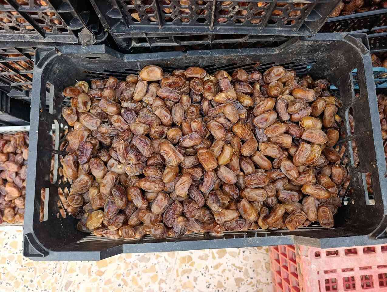 تمر شويثي • درجة اولى • مبسول