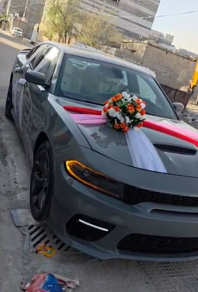 19 GT للبيع ومراوس حسب الرغبه بسمي رقم بغداد ***********

نص مكتوب في الصور:
- السوق المفتوح opensooq.com
- المنتوح opensooq.com