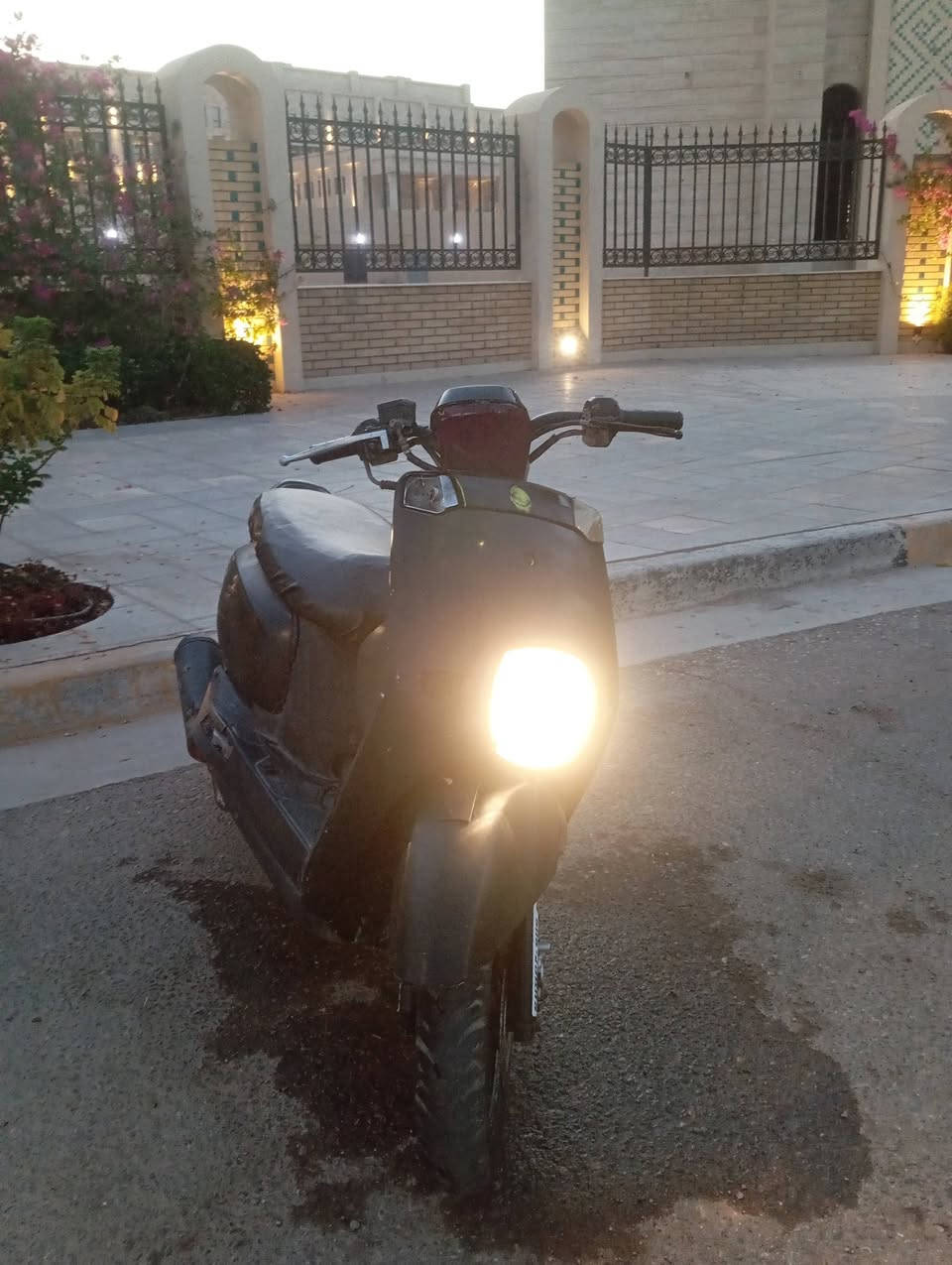 للبيع 200
