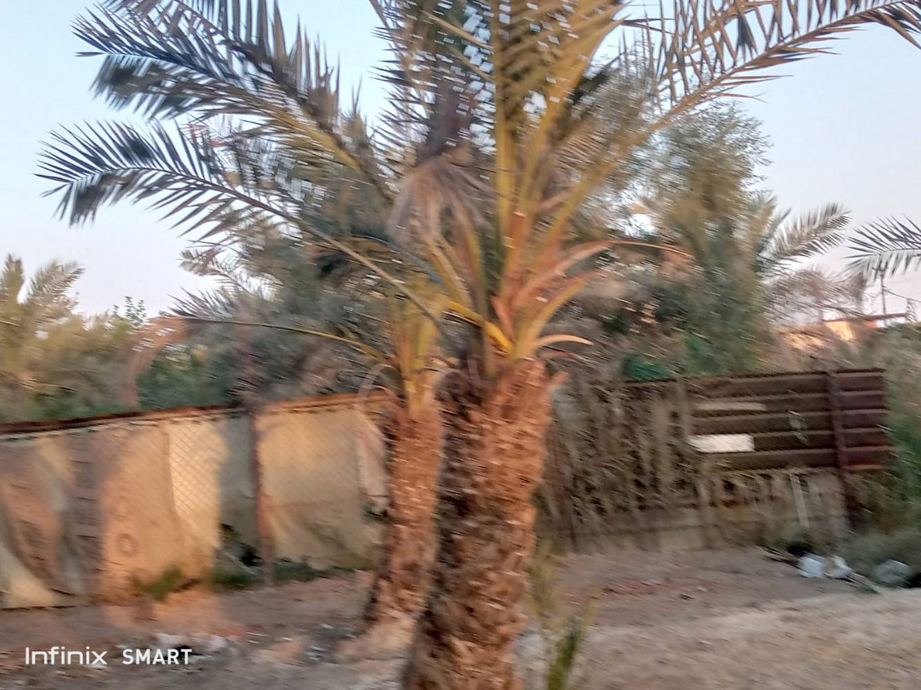 البصرة شارع سيد كاضم بسمي • ٤٨٠م • على نهر