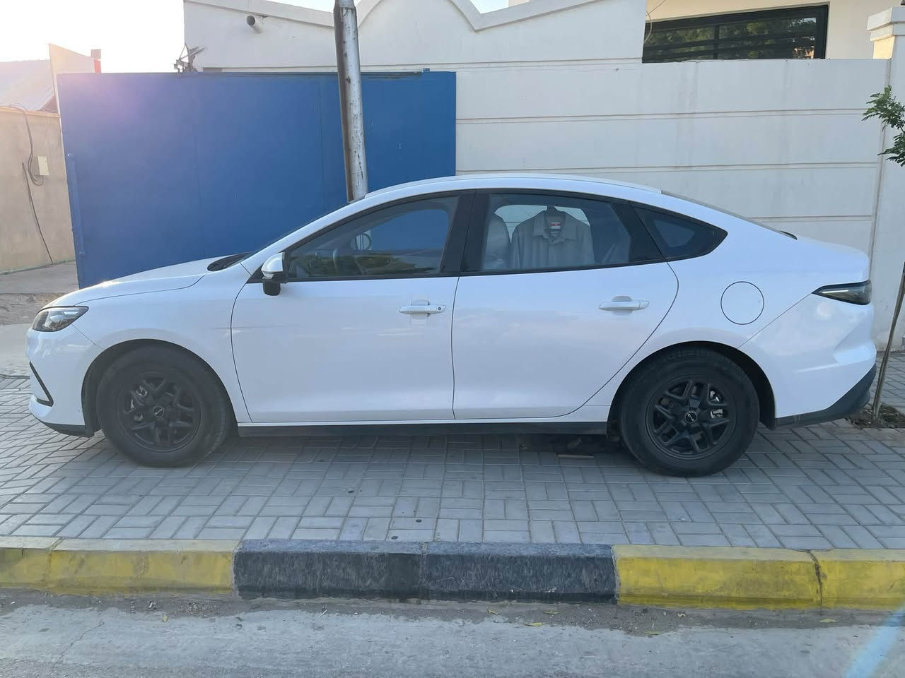 سيل 5 • ٢٠٢٥ • العزيزية