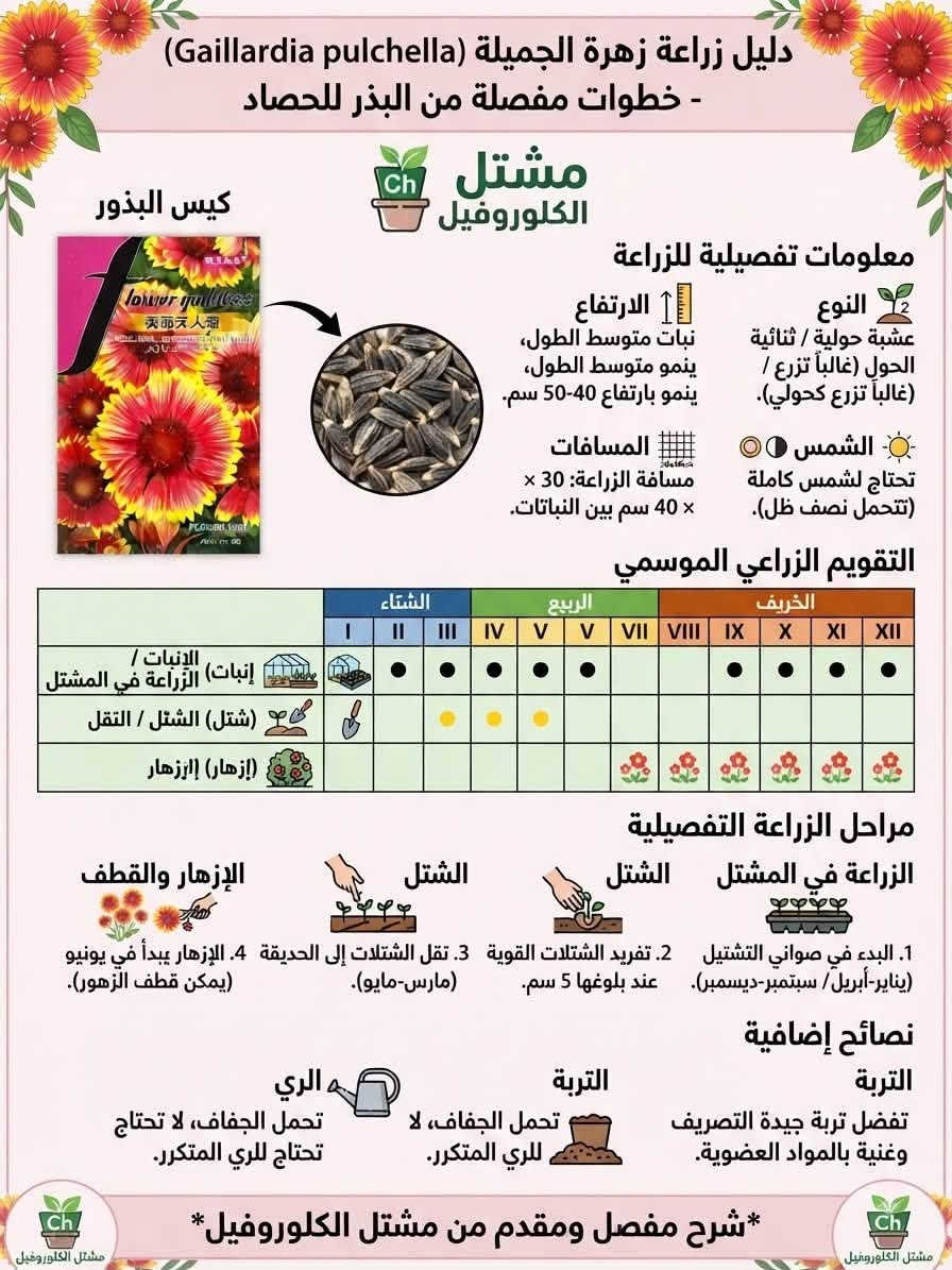 دليل زراعي رسومي مقدم من مشتل الكلوروفيل🍀
للحجز والاستفسار: *********** 📞 واتساب
