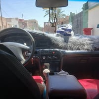 سيفه • ١٩٩٥ • رقم أنبار