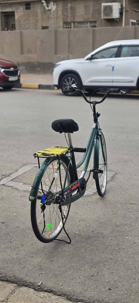 باسكل • زيتوني • نضافة ٨٥٪