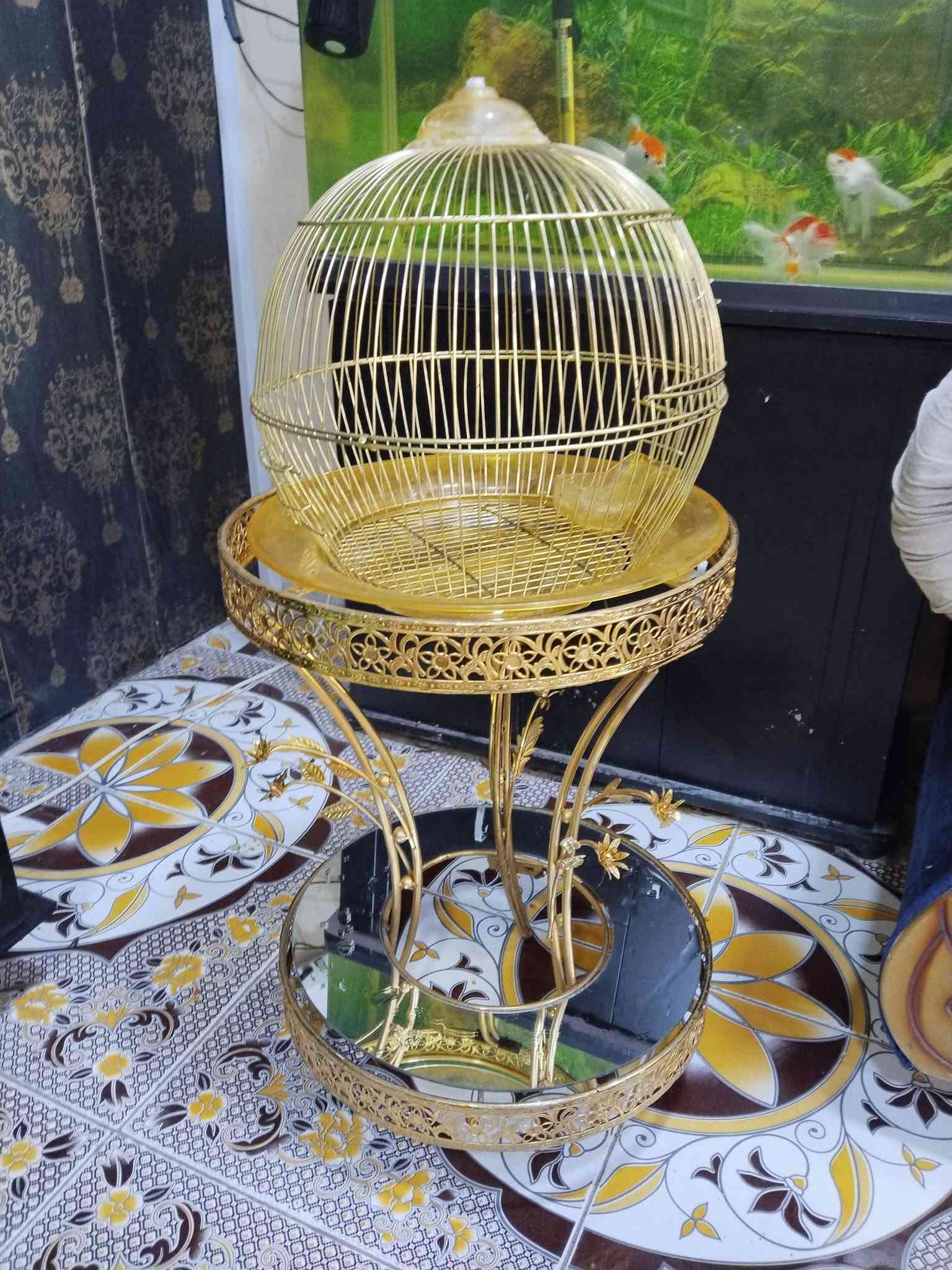 السلام عليكم
قفص ملكي للبيع سعر 25 الف 
ومرجوحه عش العصفور للبيع سعر 75 الف
بغداد الحسينيه الراشديه 
***********
