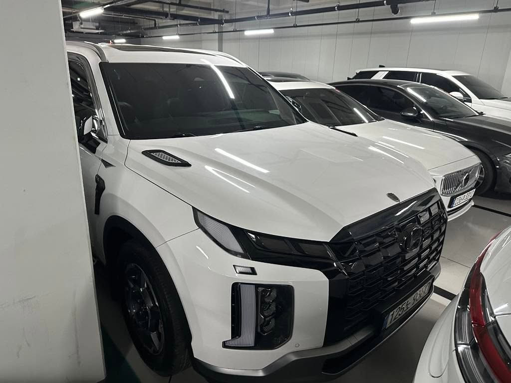 باليسايد • ٢٠٢٣ • باب صبغ