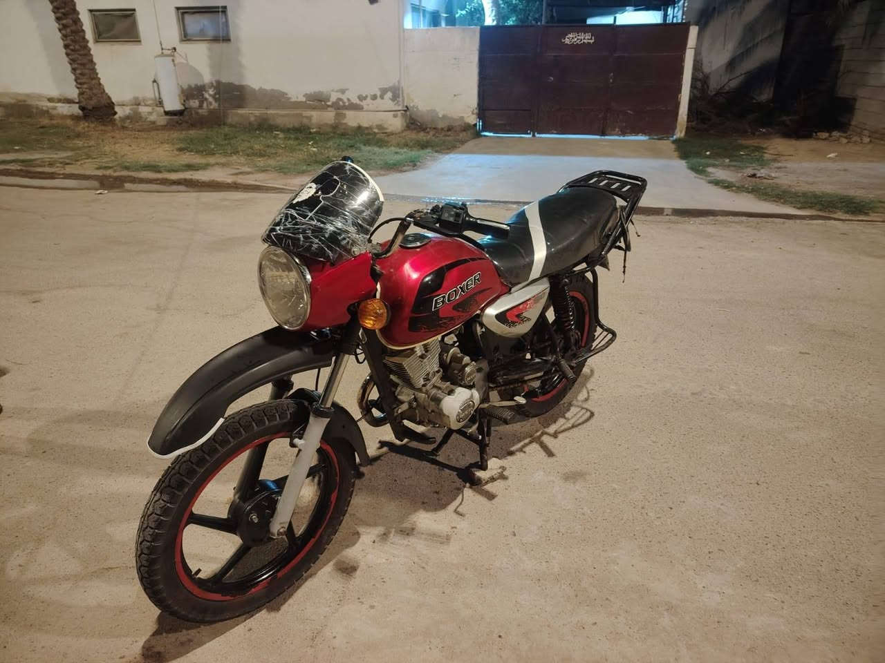 بوكسر • ستوته • بدون اوراق