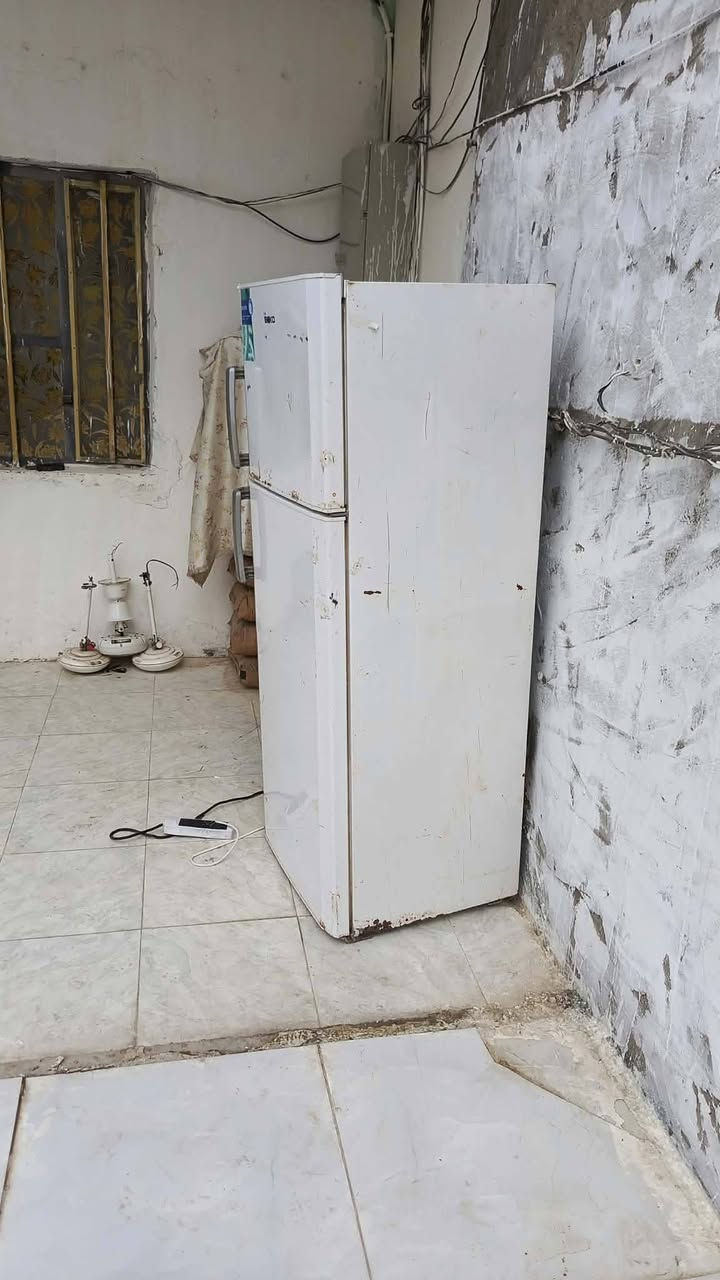 شغاله • للبيع