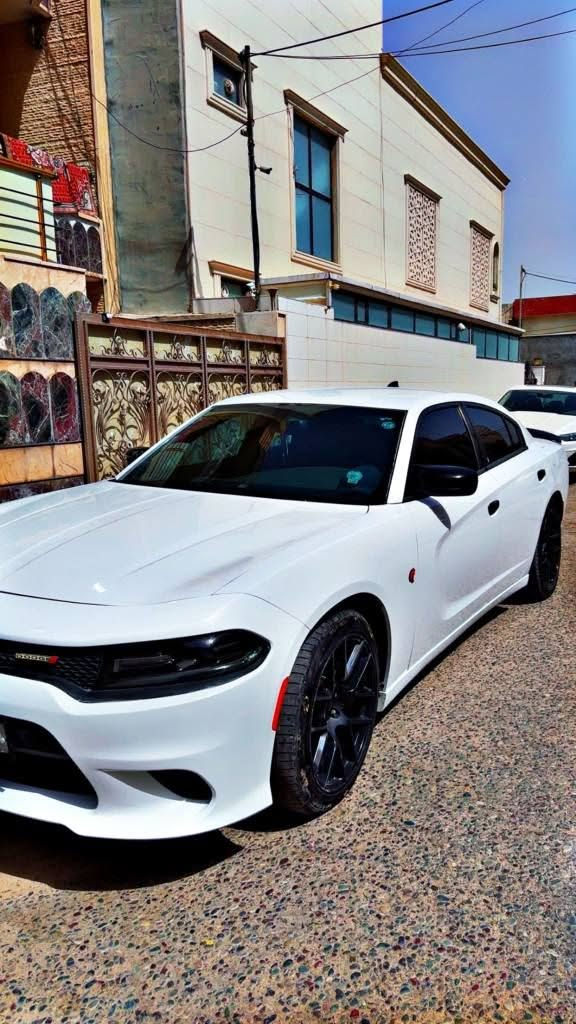 Dog charger model 2016
کلین تایتل سیارە بسمی *********** بی واتساپ أربيل, العراق
