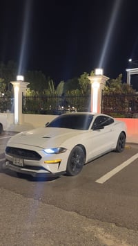 موستنق ايكوبوست • ٢٠٢٢ • رقم اربيل