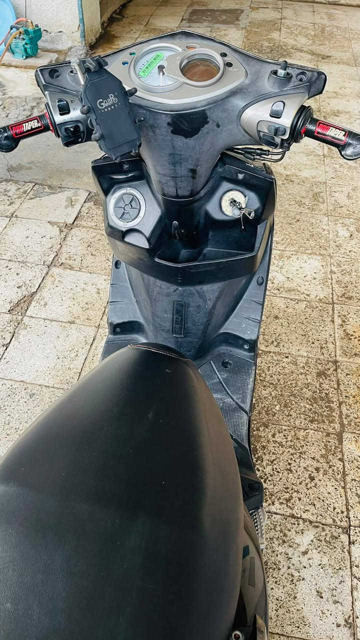 سكنس فحل • جديده • الحسينيه