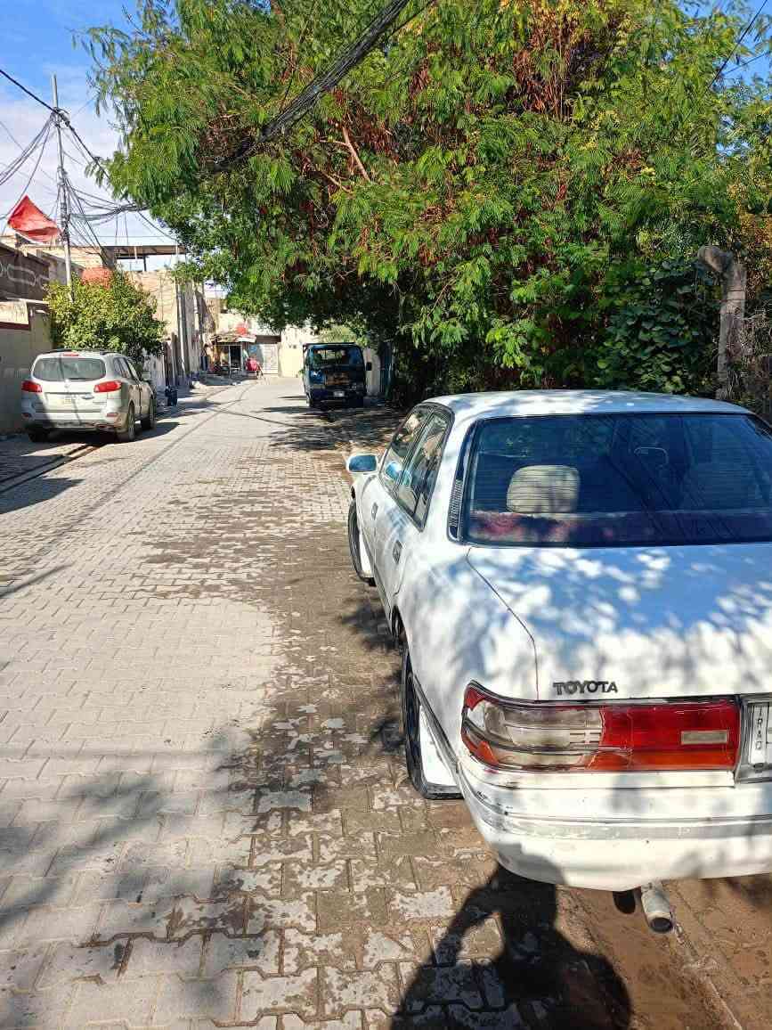 كرسيدا • ١٩٨٩ • كير جديد