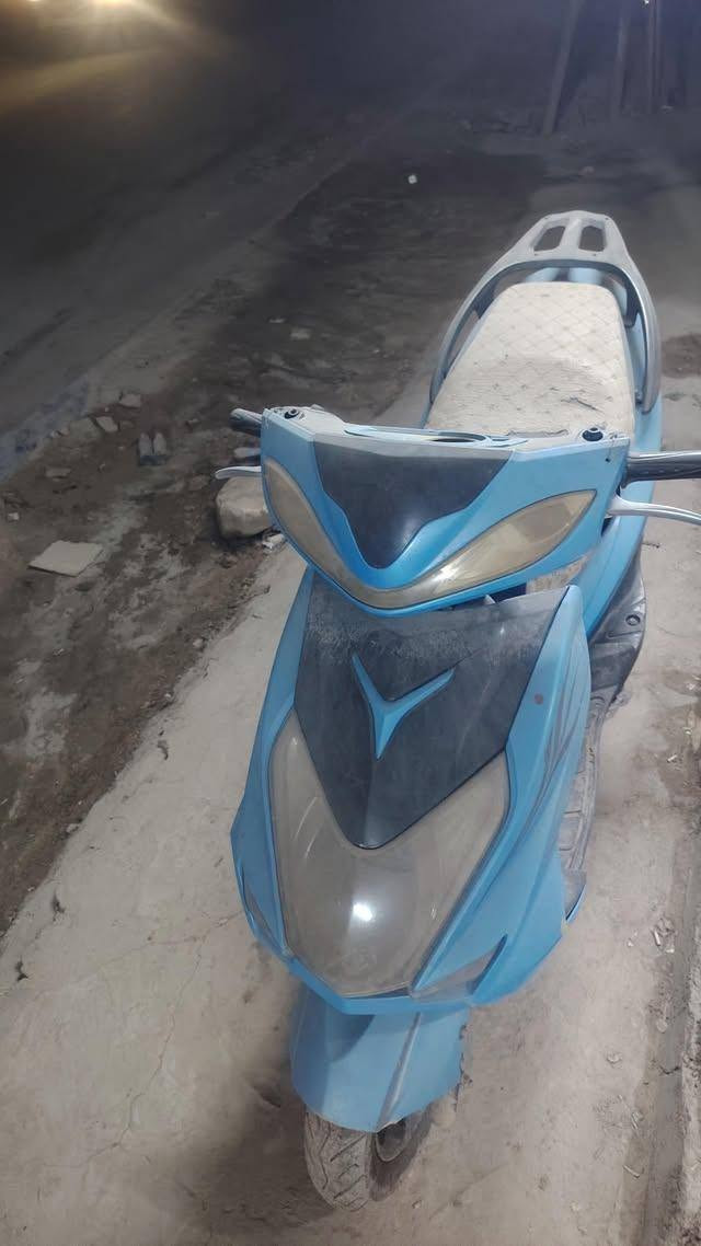 سكنس • ٢٠٢٤ • معدل فول