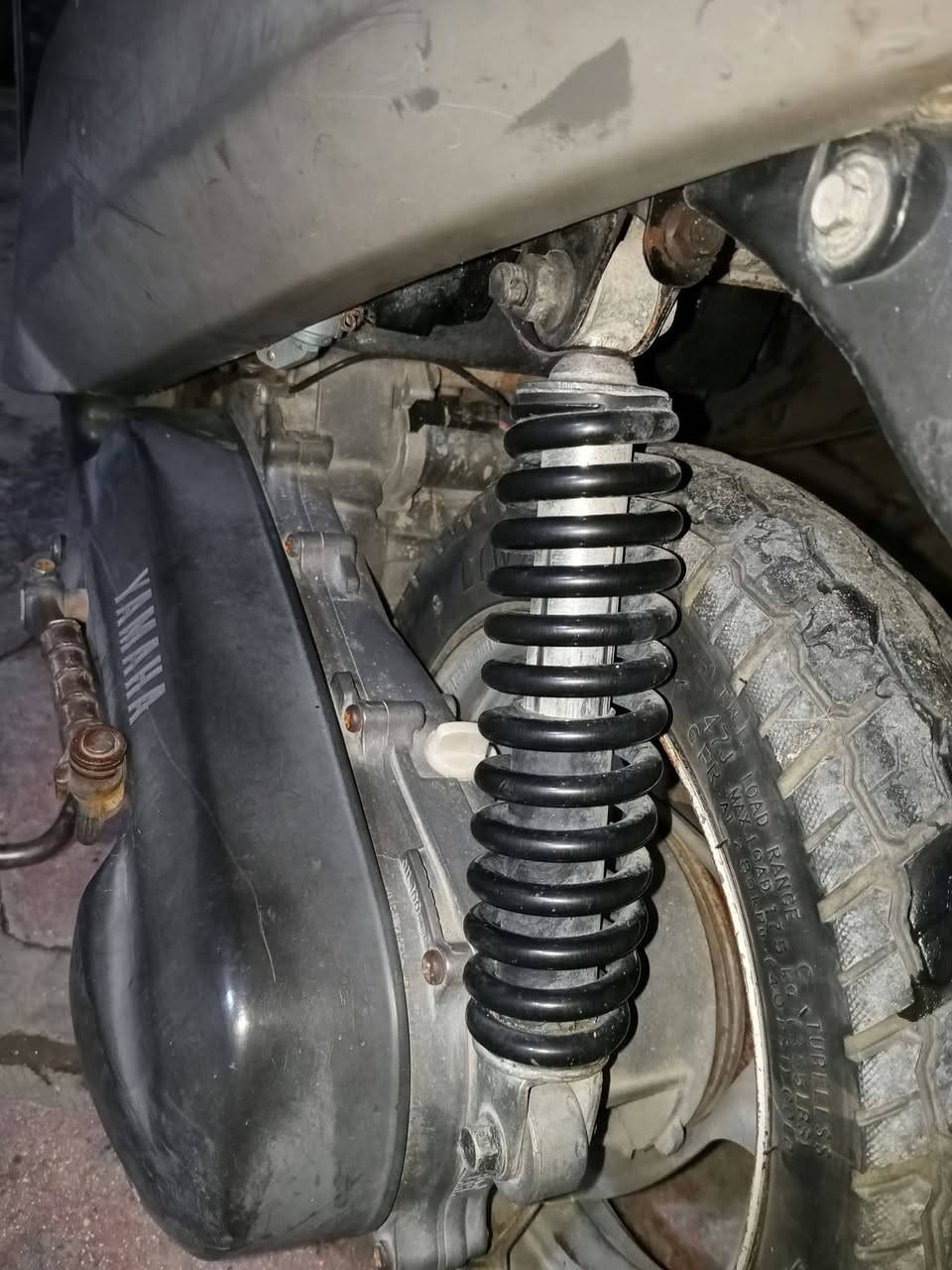 بطة • ١٩٩٩ • سلف وهندر