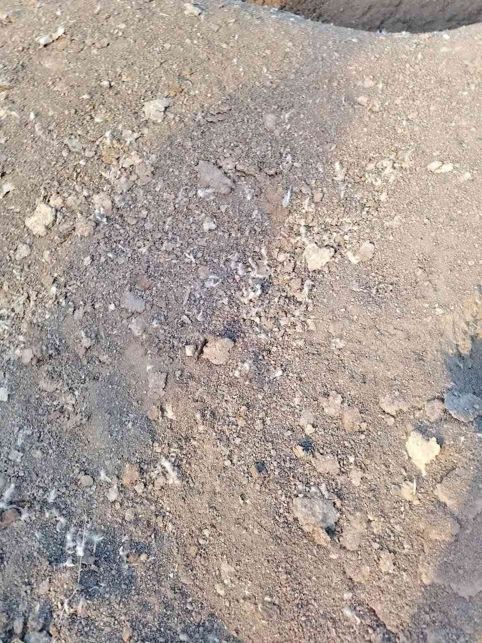 السلام عليكم يوجد دمن دواجن يوجد دمن لحم بيكم خير تدللون *********** ***********
