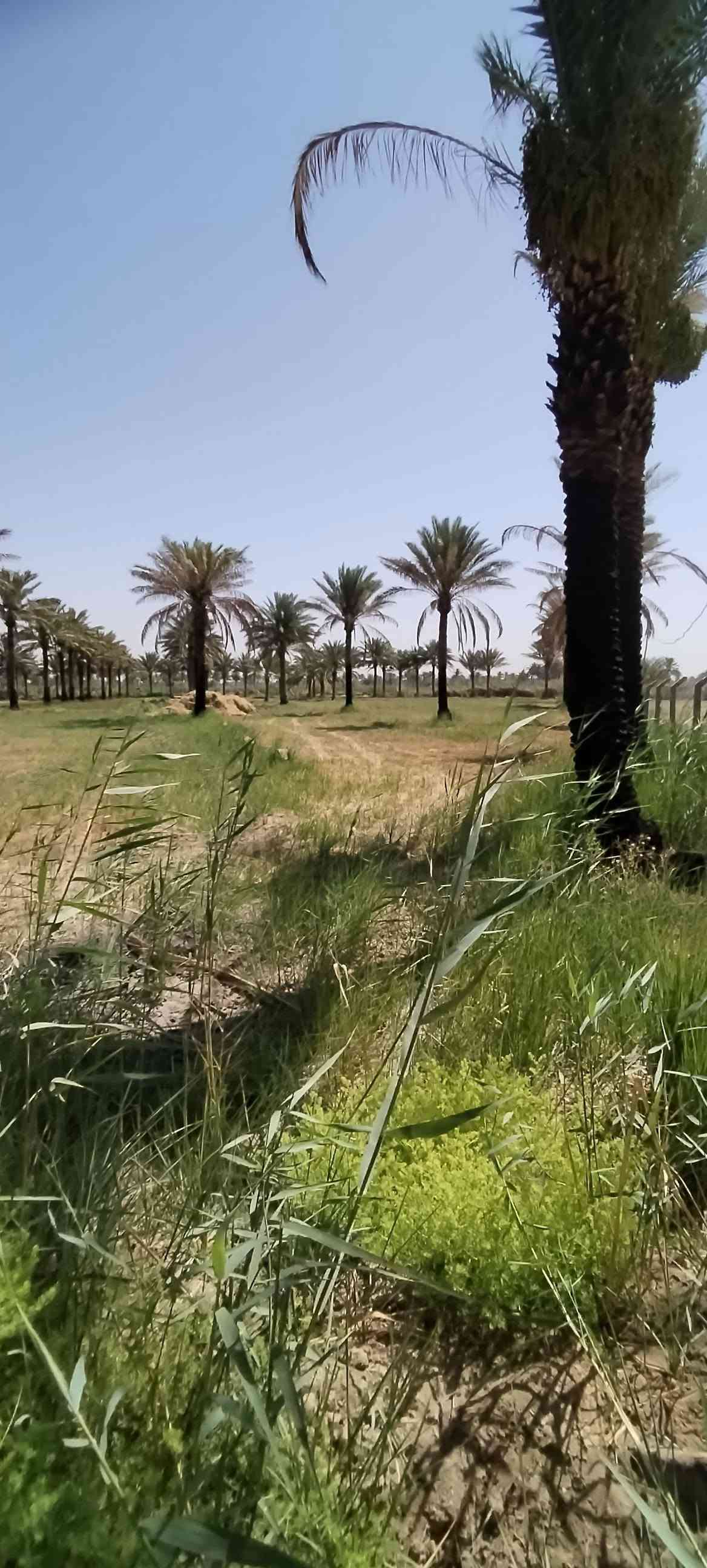 السلام عليكم ورحمة الله وبركاته .
أرض طابو زراعي سند ٢٥ للبيع في منطقة العلاك على جهة البحموسه تبعد عن الشارع العام الحمزة شوملي اقل من ٨٠٠ متر المساحة ٣ دونم .  مع توفر مياه سقي اللاستفسار أكثر عن السعر الاتصال على الرقم *********** او ***********
