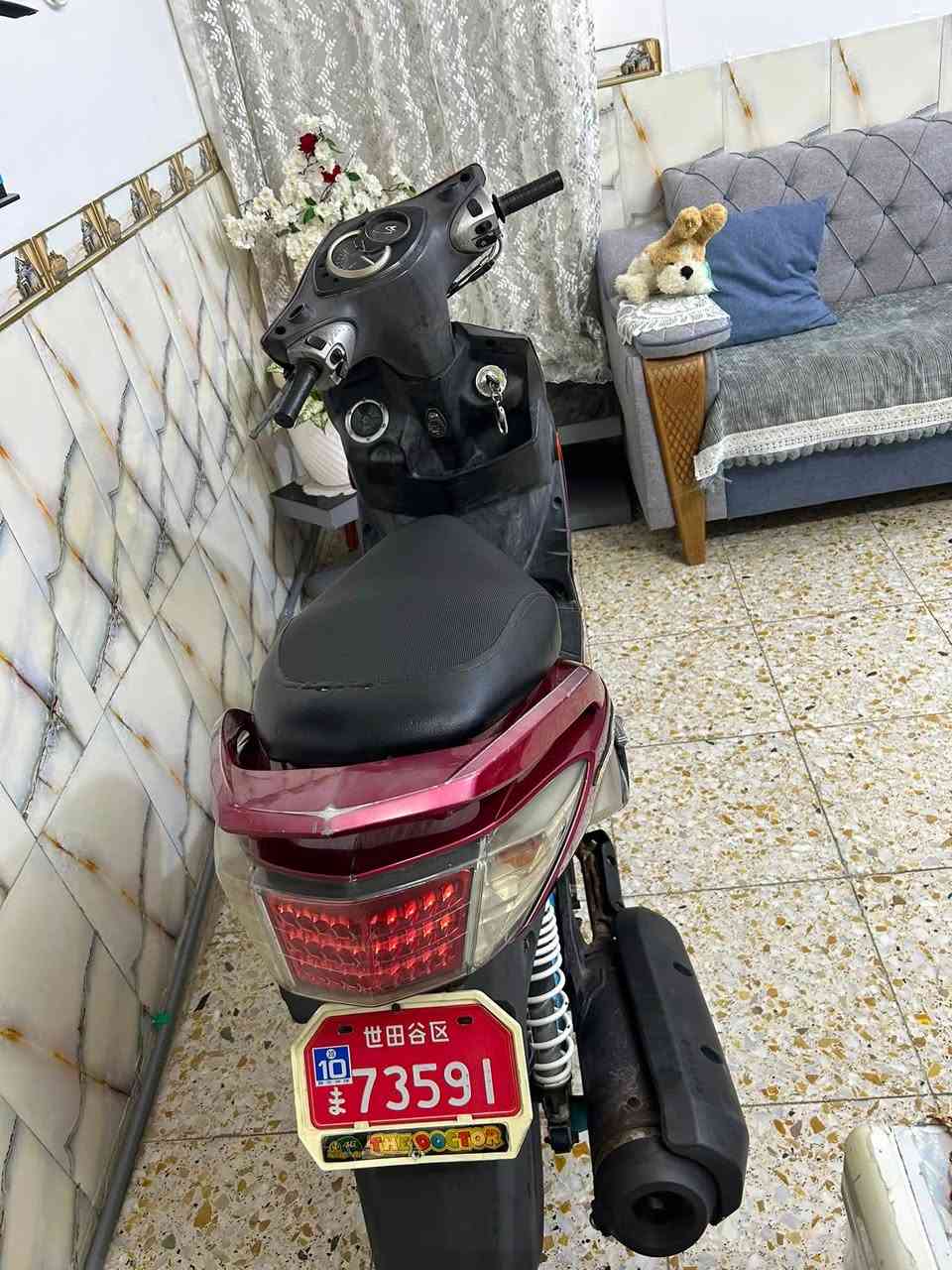 سكنس فحل كوري طلاعات نوزل خطين ماشيه 23 الف دراجه كڤرات بلاديه مختمه حلوه بلاديه شرط شلعه ومعدل مكينه ممفتوحه الله شاهد بانزين محسن ودهن يورل اخلي بگلايت لد عنوان الشعب الثعالبه هـ/ *********** السعر 800 وبيه مجال او مراوس جي تي ار
