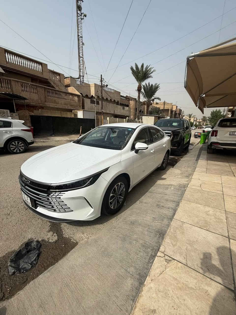دسترويل • ٢٠٢٥ • ماشية ٨٠٠٠