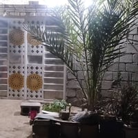 بيت زراعي • اسديناوية خلف الجسر • ١٢٠م