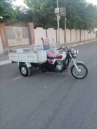 ستوته • ٢٠١٩ • جوبلس