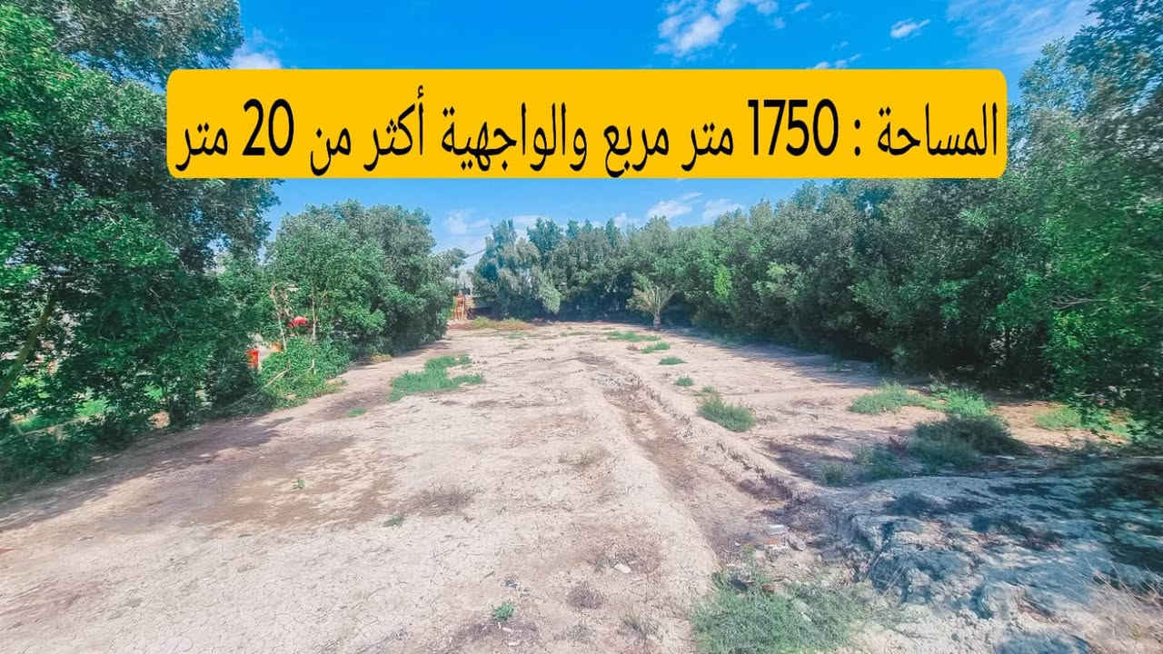 وقف سني • ١٧٥٠م • شارع تبليط
