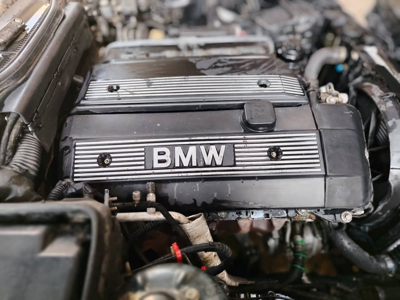 535i وارد يابان ،1991
مكينه وگير x5M54B30
سكليتر كهرباء
مروحه كهرباء
تخم تاير
بلاديه ماملعوب بيهه
سنتر سلوك
كهربائيات فول
تدفئه تبريد
كشنات جلد تدفئه لون بيجي
دبل گير تبترونك
سستم صوت +دمام
عقل ms43
مجول طويل
55 وبيهه مجال
نجف ***********
