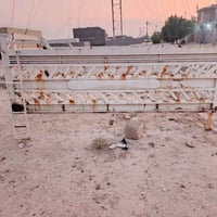 محجر كية نثية • كربلاء • للبيع