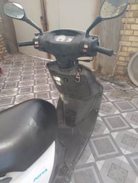 فراشة • معدل • كهربايات