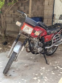 فيومه • ٢٠١٣ • بدون اوراق
