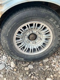 مراوس • ويل كب • ديالى
