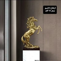 هدية • مقاسات مختلفة • توصيل لكل العراق
