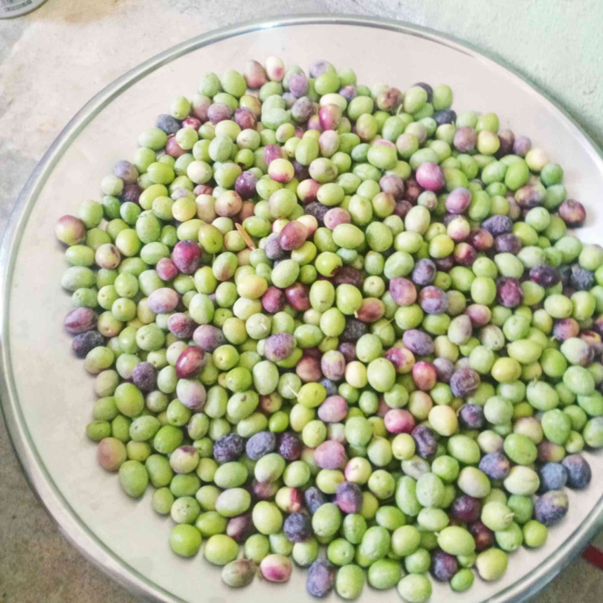 السلام عليكم
زيتون للبيع مال السنة 
تعال خاص او اتصل ***********
