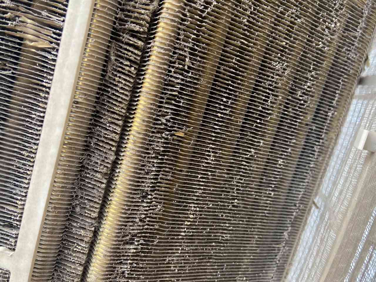 قطعة داخليه طنين نوع TCL كما موضح بالصورة النضافة على الفحص ابلادية للاستفسار ***********☎️☎️ المكان نجف واتساب موجود

