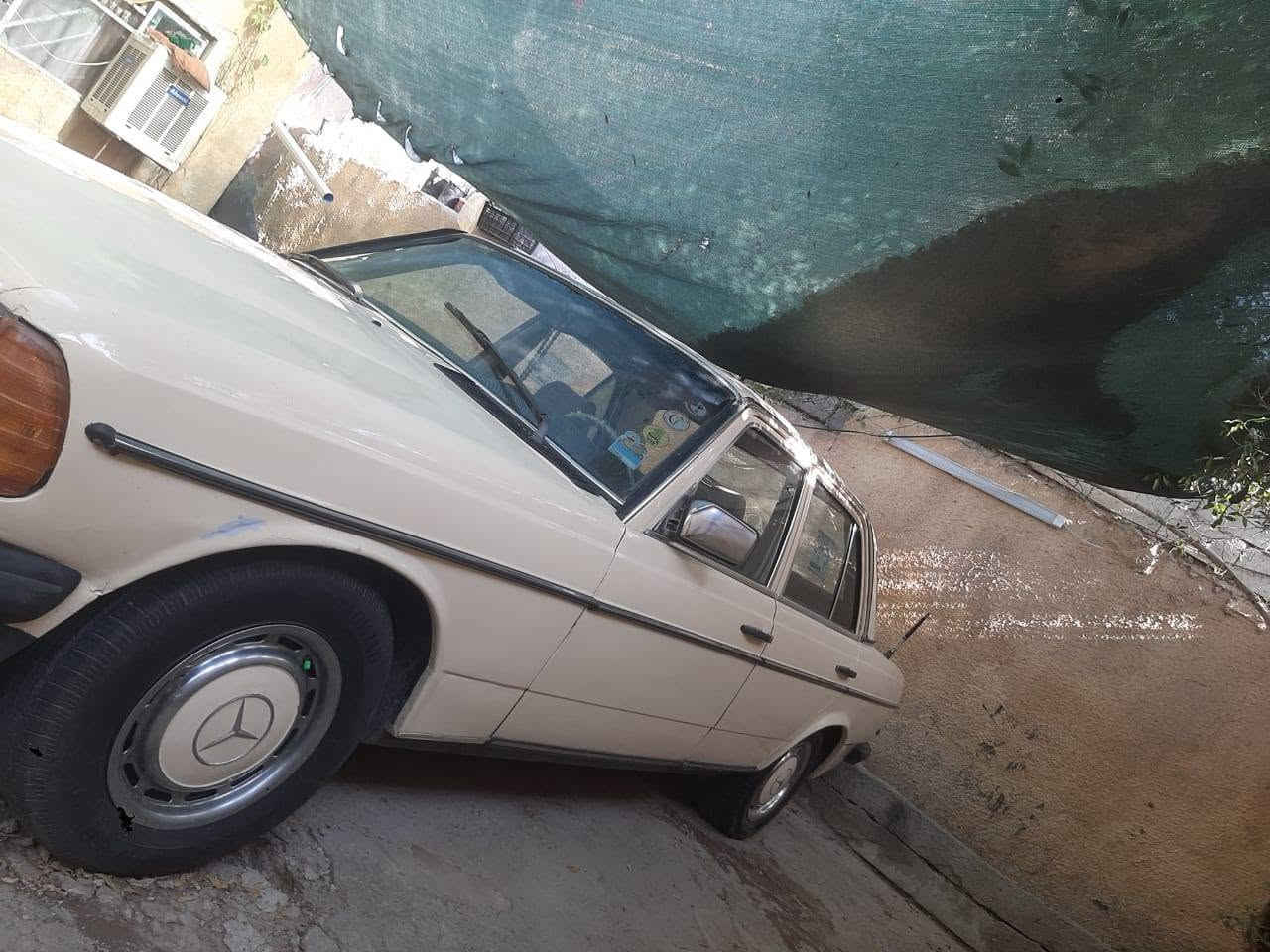 مرسيدس ابو جحيل موديل ٨٤ رقم ديالى انكليزي تحويل ثاني يوم سياره انتيكه جاهزه من كلشي استفسار اتصال***********
