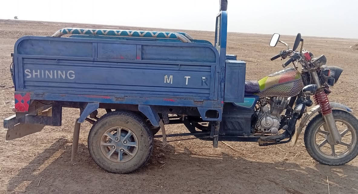 ستوته • ٢٠٢٠ • مكفولة