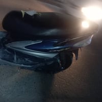 سكنس فحل • سلف • هنتر