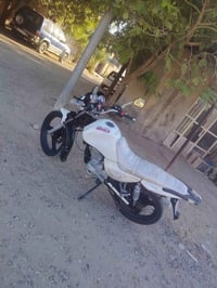 سنكي • 150 • بدون أوراق