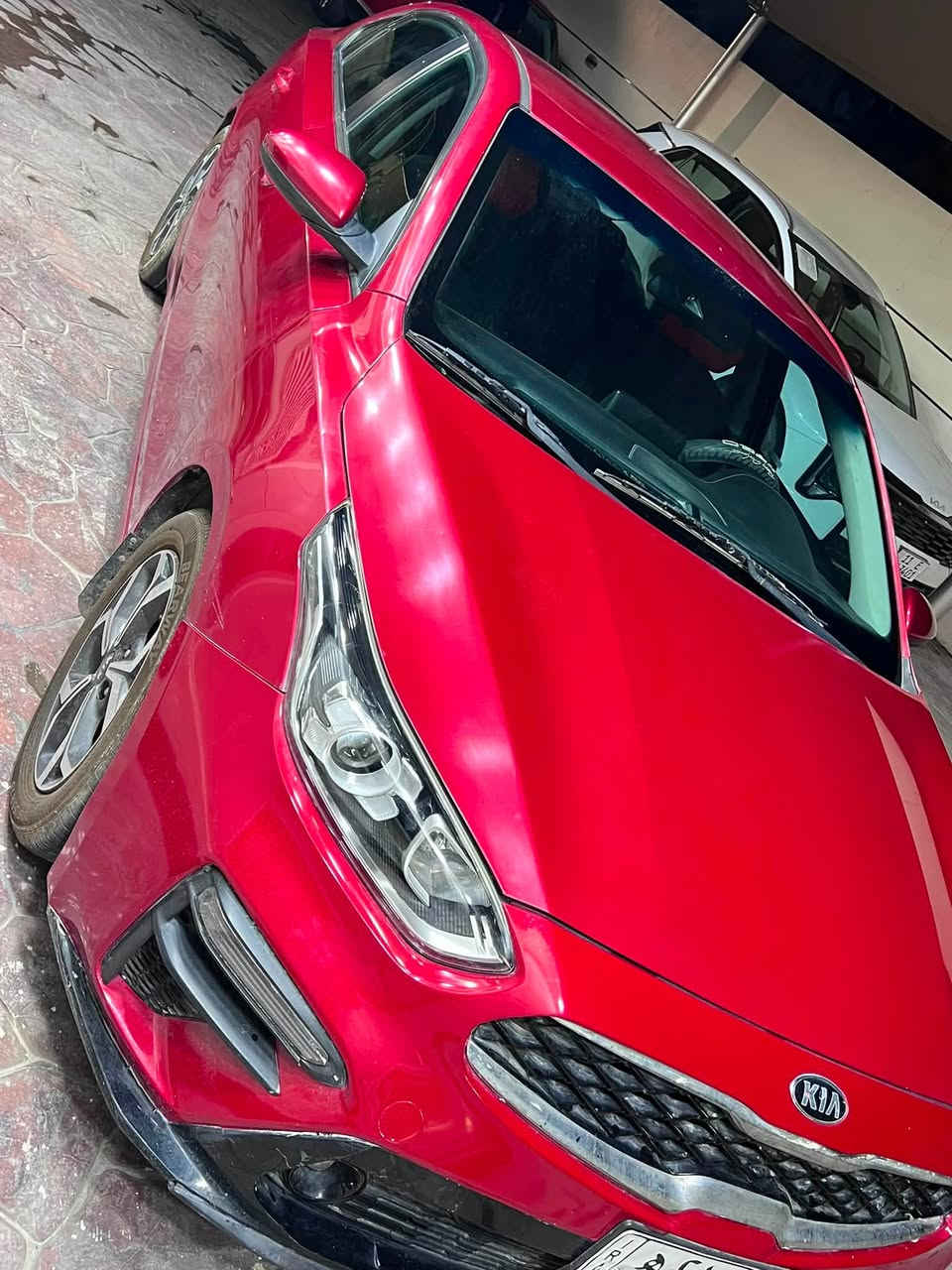 فورتي • ٢٠١٩ • السعر شدة