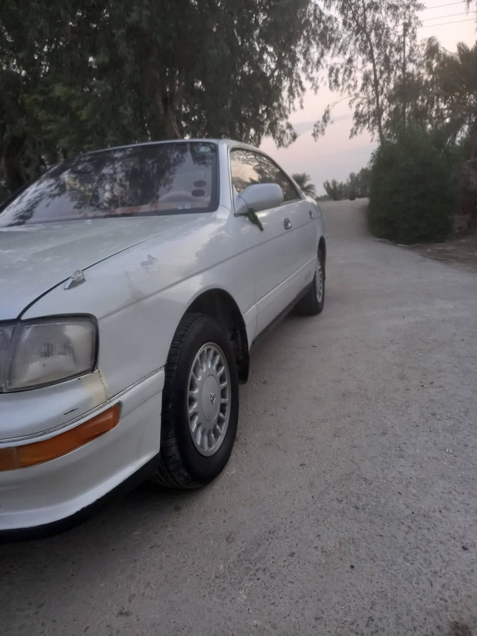 بطه • مكفوله • جير ومكينه