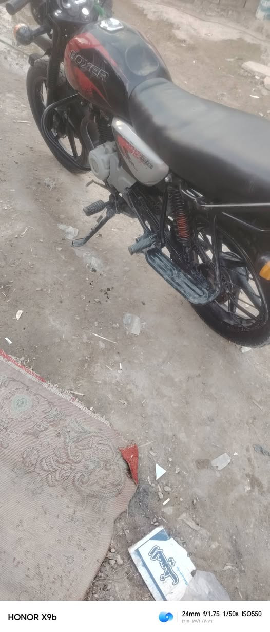 بوكسر جبلي • ٢٠٢١ • زيرو