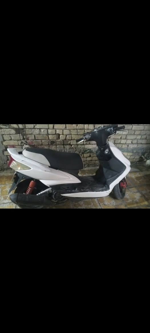سكنس فحل • كملة • مامفتوح