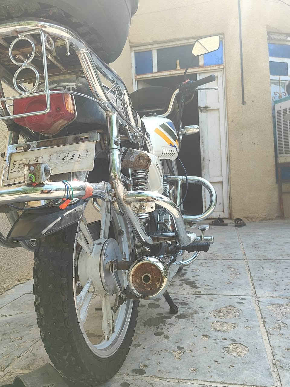 بارت فحل • مديل ٢٠٢٢ • نضيفه