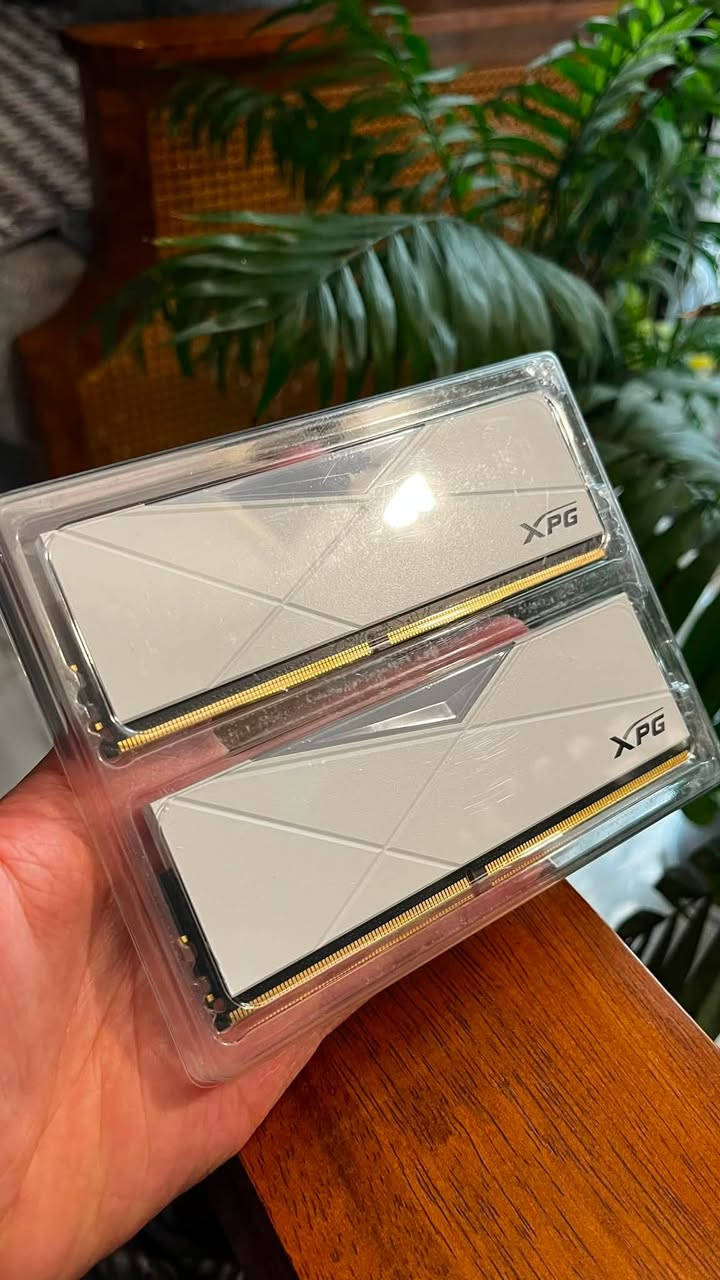 السلام عليكم
رامات XPG ddr4 3200mhz cl16 RGB white D50 2x8Gb للبيع

القطع كلش نظيفة بدون اي خدوش مع الكارتون ضمان 6 اشهر 

سعر القطع حتكون 150 الف 💵

متوفر توصيل 🚚 لجميع محافظات العراق

العنوان 📍بغداد/حي الجهاد-مركز غياث ستور 

للاستفسار

اتصال ***********

واتساب 🍀 ***********
