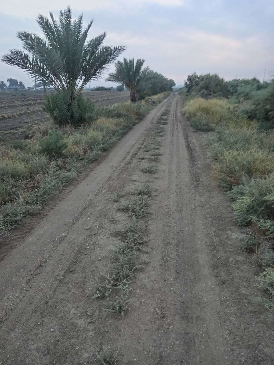 ٢ دونم • شارع الرابع • مخدومه