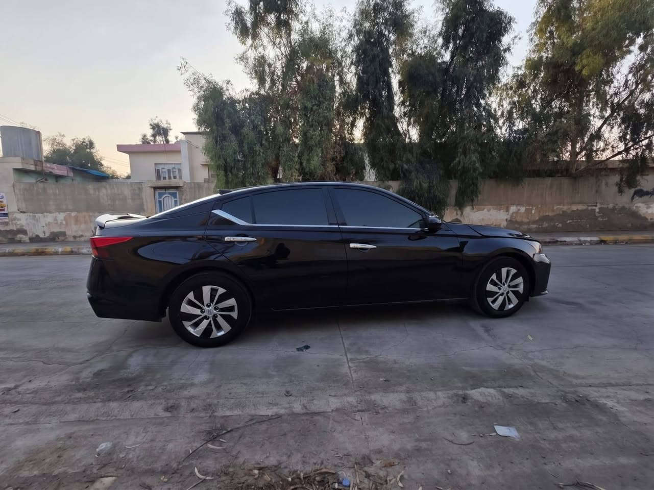 التيما • ٢٠٢٤ • رقم اربيل